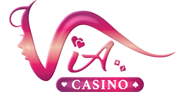 Visa partner logo