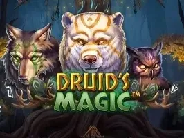 เวทมนตร์ของดรูอิด game thumbnail